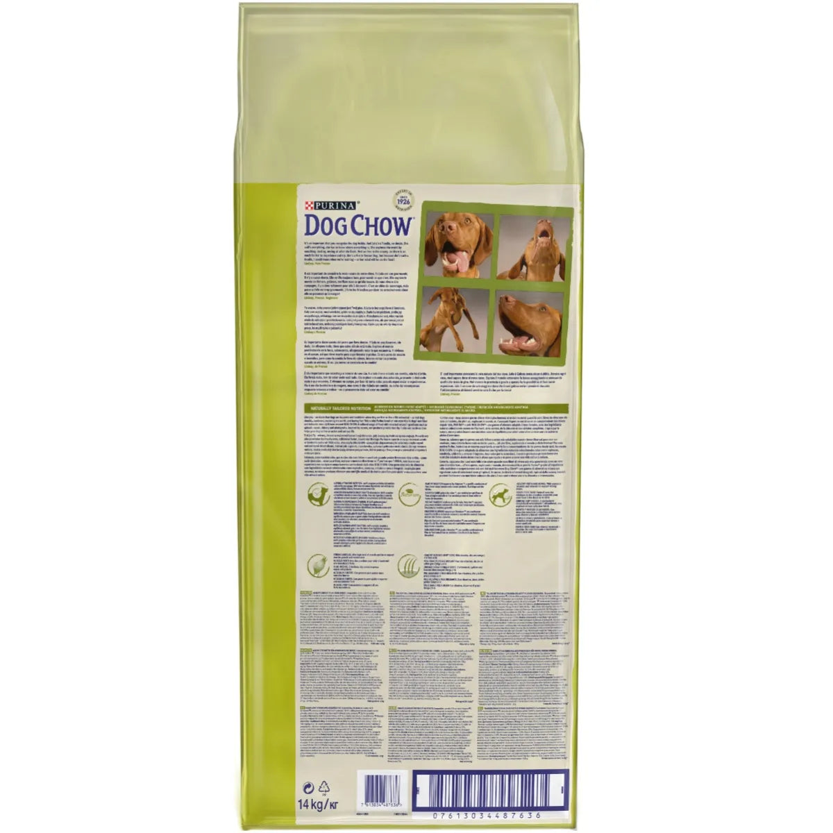 Purina Dog Chow Adult Miel - 14kg