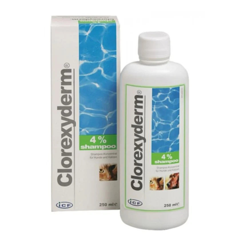 CLOREXYDERM 4% SAMPON 250 ML