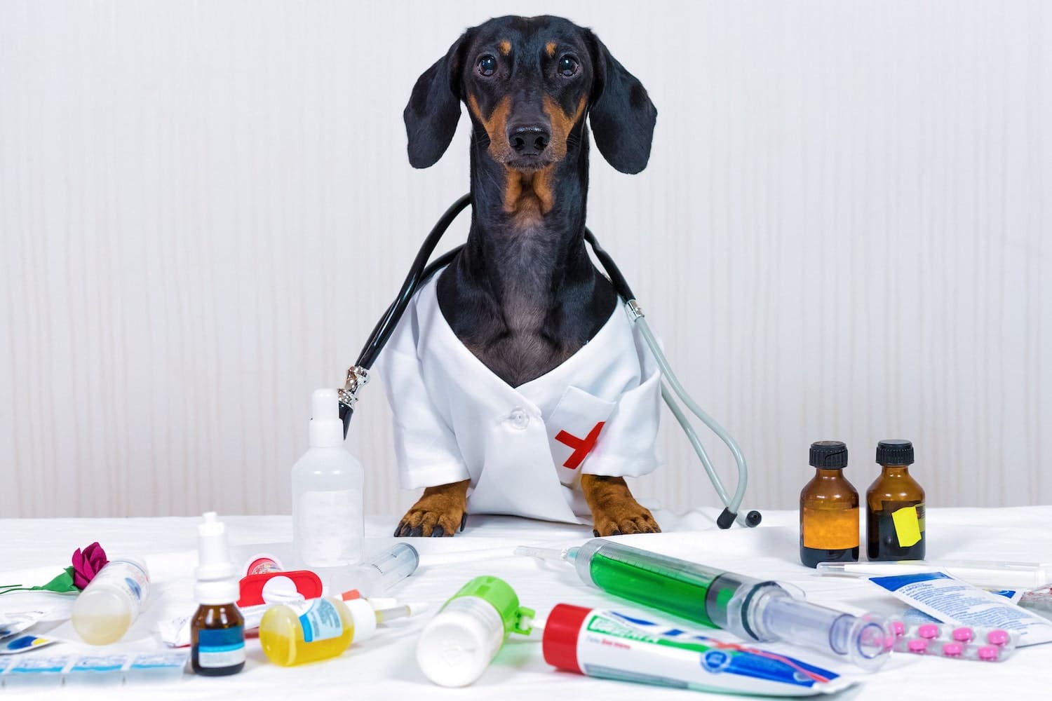 Farmacie veterinara