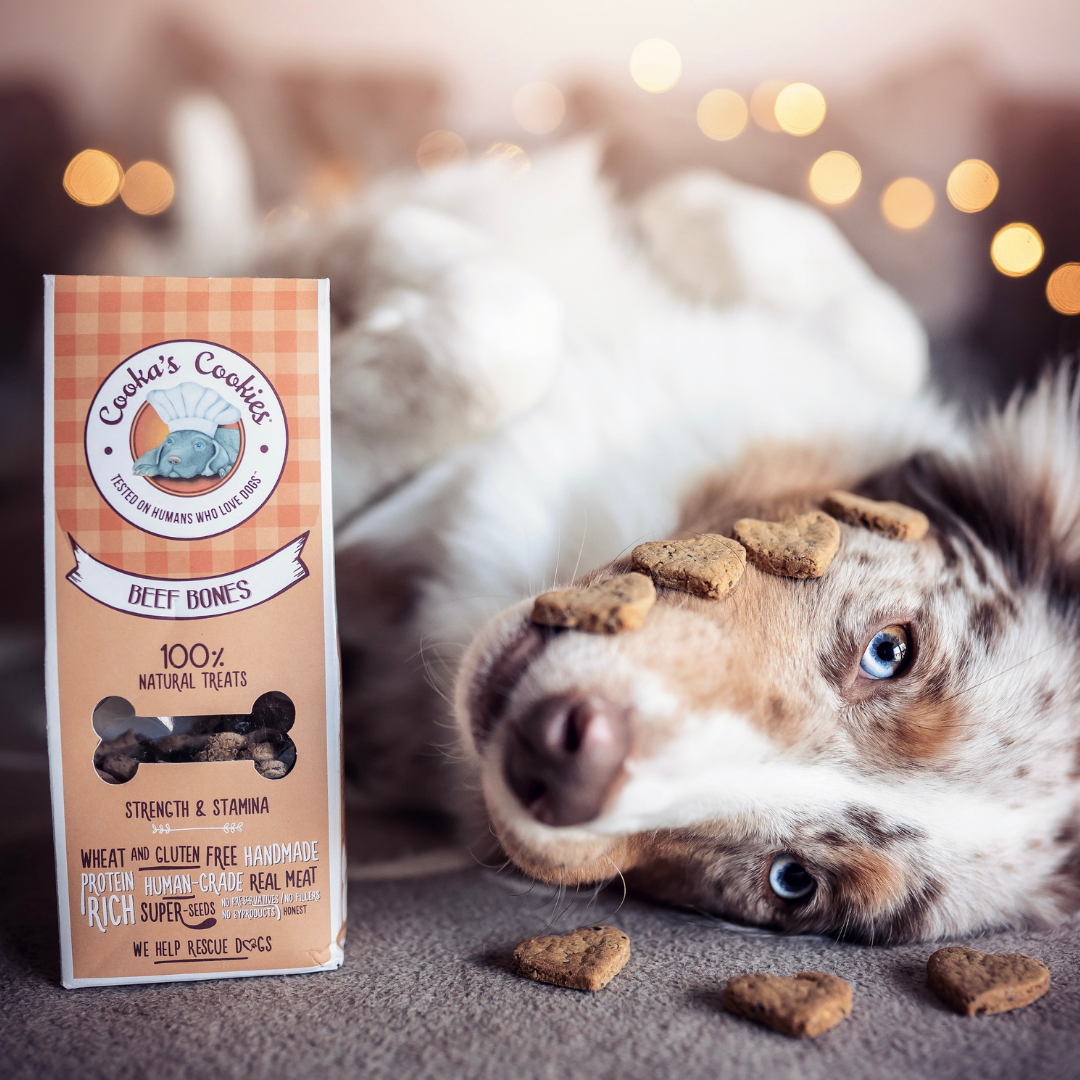 Beef Bones - Natural Dog Recompense cu vită