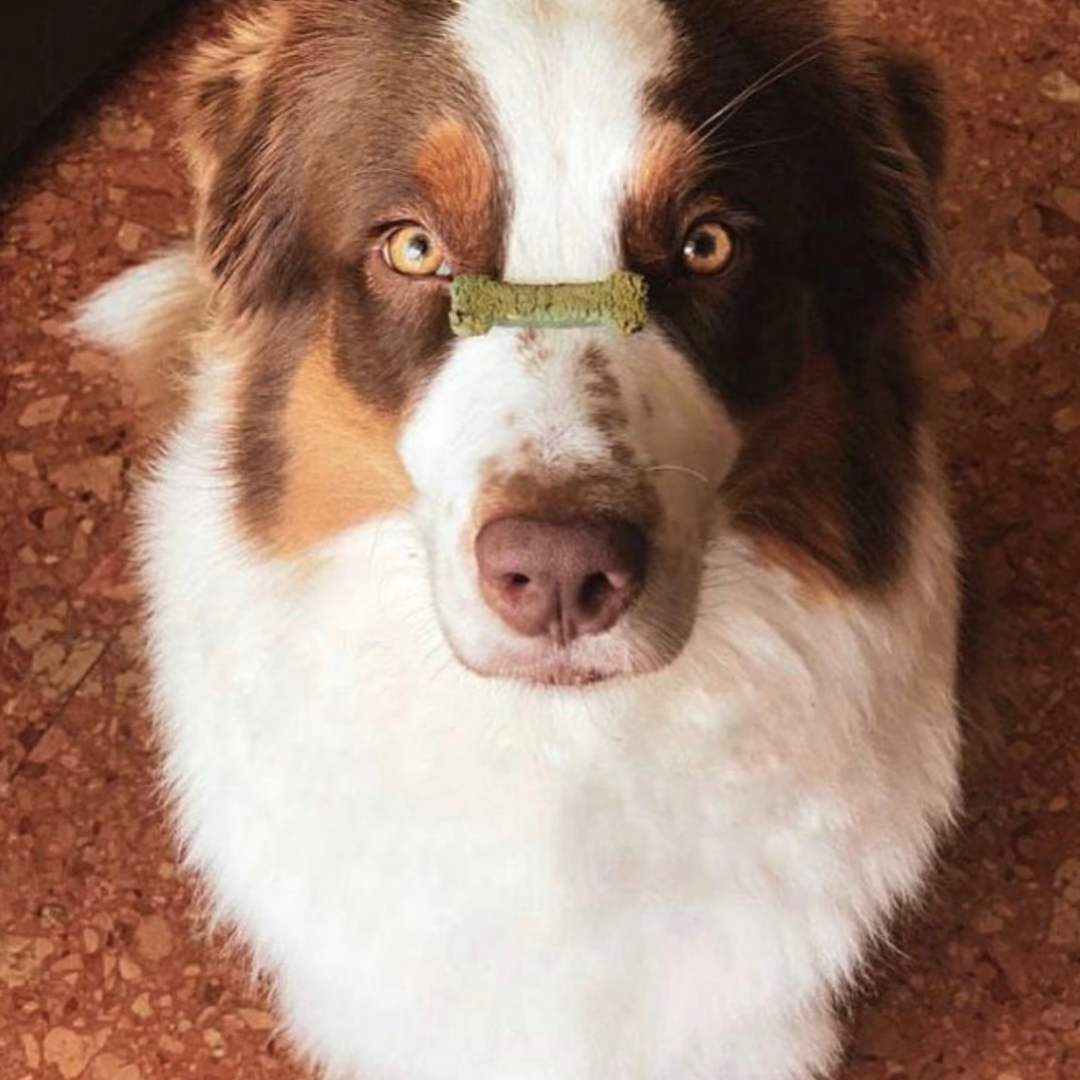 Super Treats cu măr și spirulină