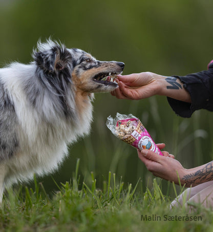 Beijinhos – Recompense crocante artizanale cu vită