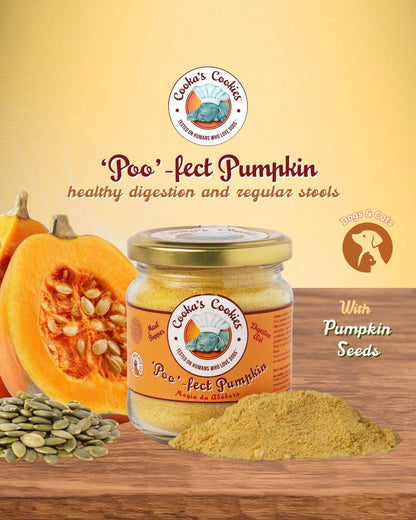 Pumpkin Meal Topper – Topper alimentar cu dovleac