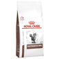 Hrana Uscata pentru pisici Royal Canin Gastrointestinal Kitten sac 2 kg