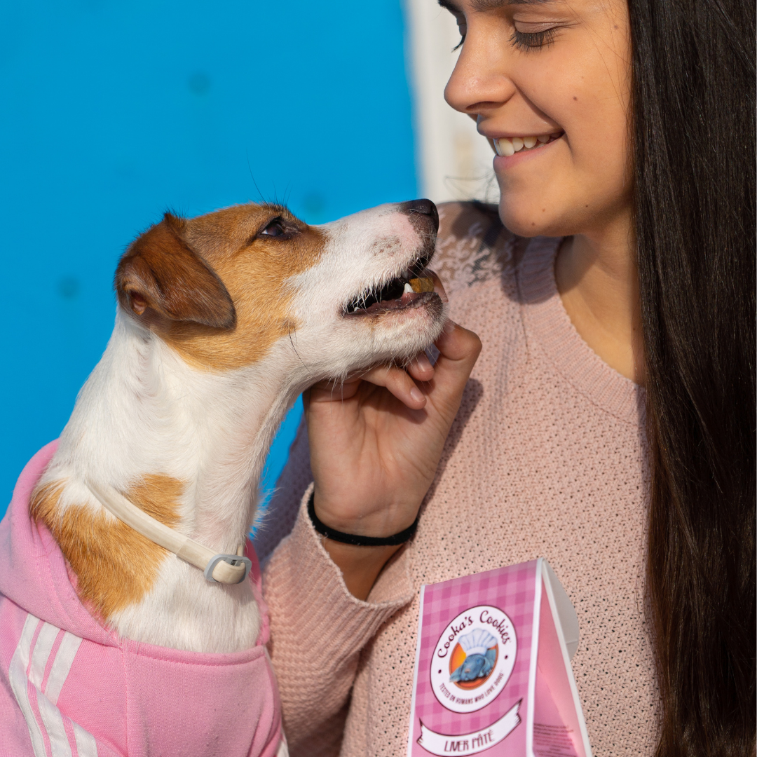 Recompense cu ficat proaspăt de vită, pui și porc