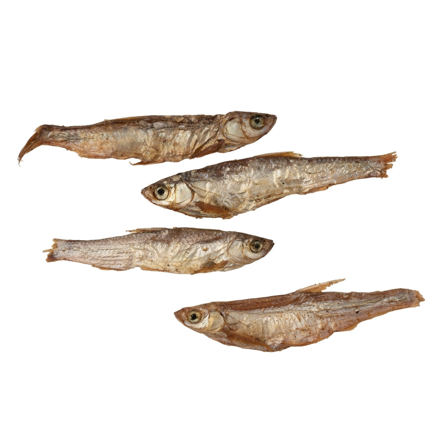 Gone Fishing – Pește uscat la aer