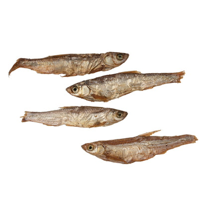 Gone Fishing – Pește uscat la aer