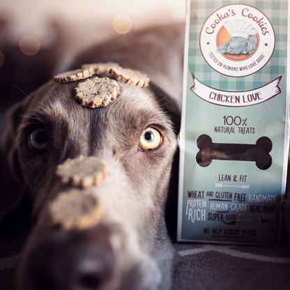 I WOOF YOU – Chicken Cookies