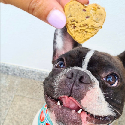 I WOOF YOU – Chicken Cookies