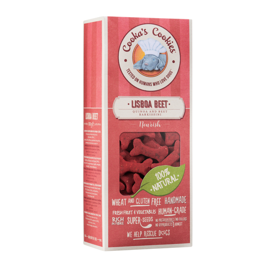 Lisboa Bites