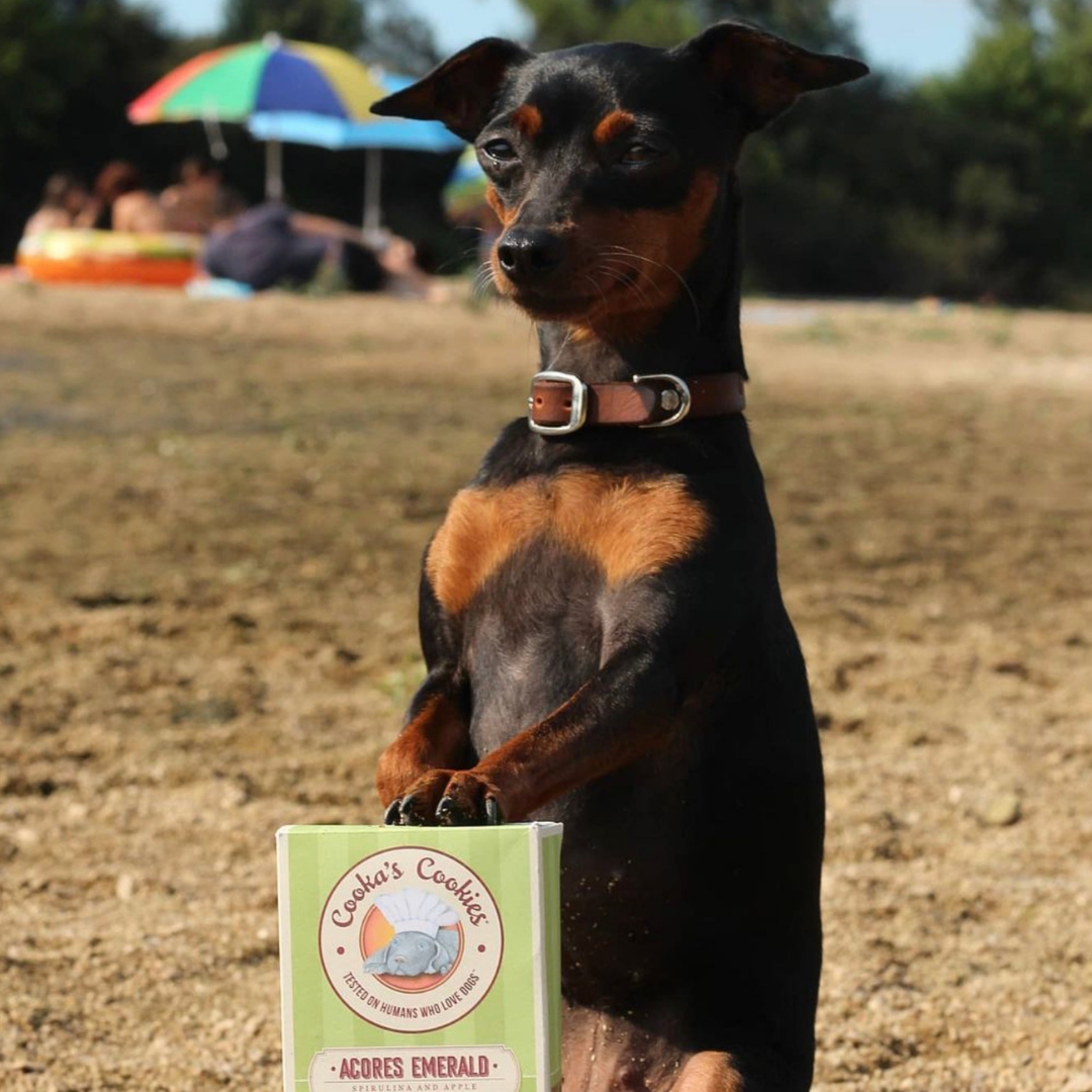Super Treats cu măr și spirulină