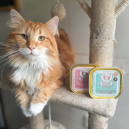 Cooka’s Purrfect Chicken Pâté