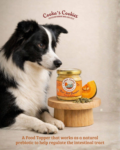 Pumpkin Meal Topper – Topper alimentar cu dovleac