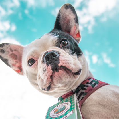 I WOOF YOU – Chicken Cookies