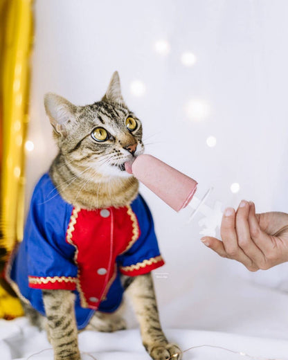 Mix sănătos pentru înghețată dedicată animalelor