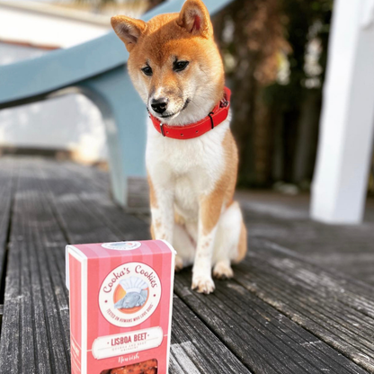 Lisboa Bites