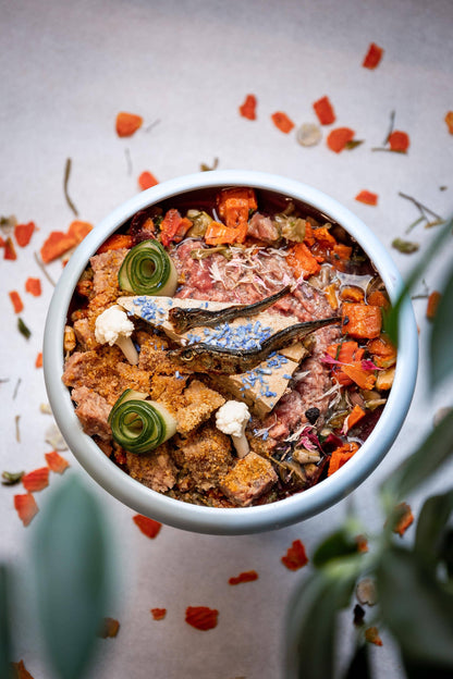Pumpkin Meal Topper – Topper alimentar cu dovleac